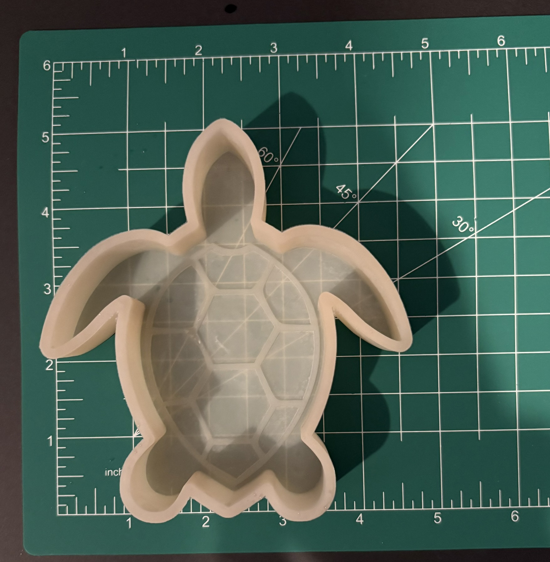 Turtle - Image 3