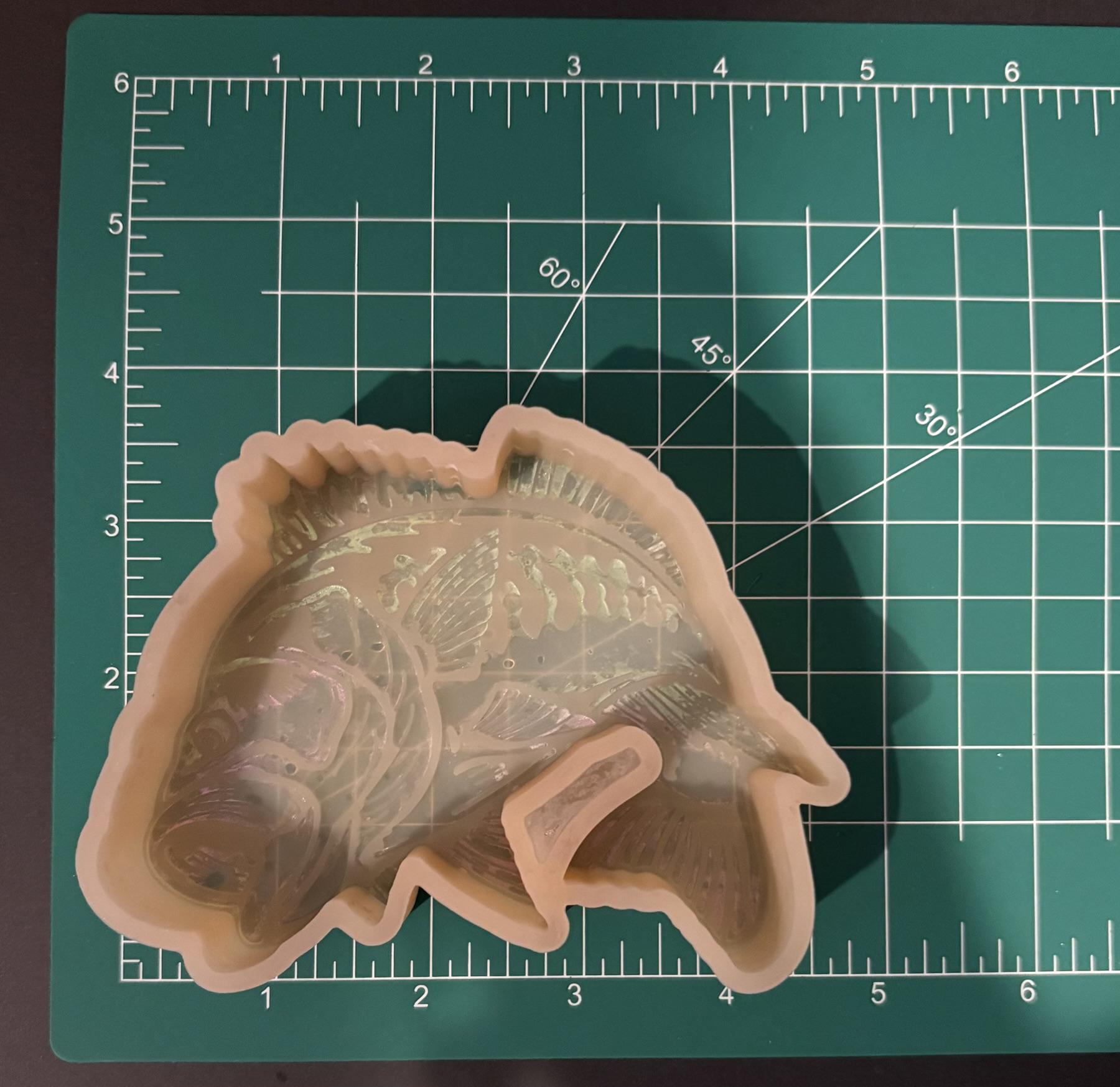 Big Ol' Bass - Image 2