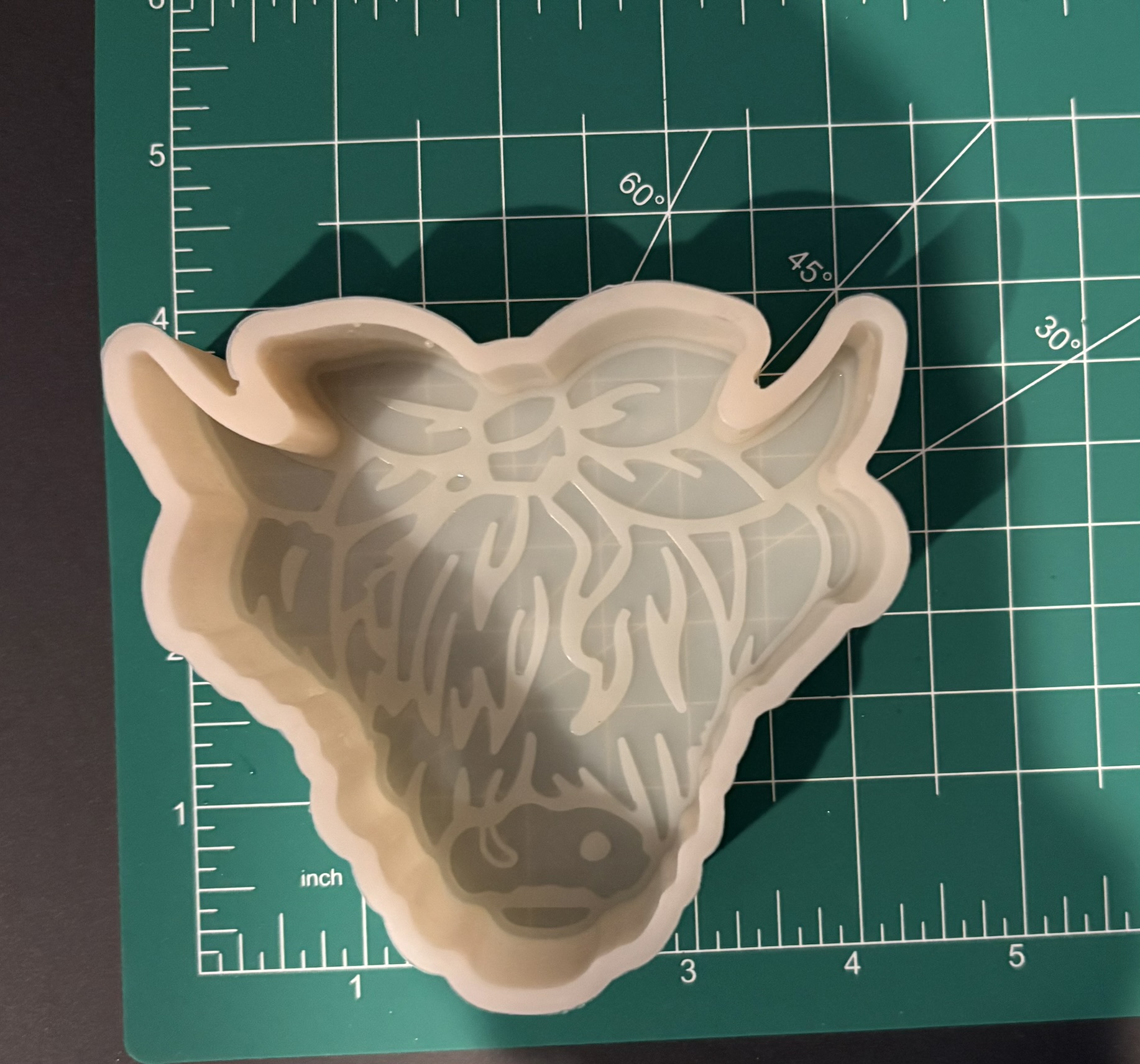 Cow with Bangs - Image 5