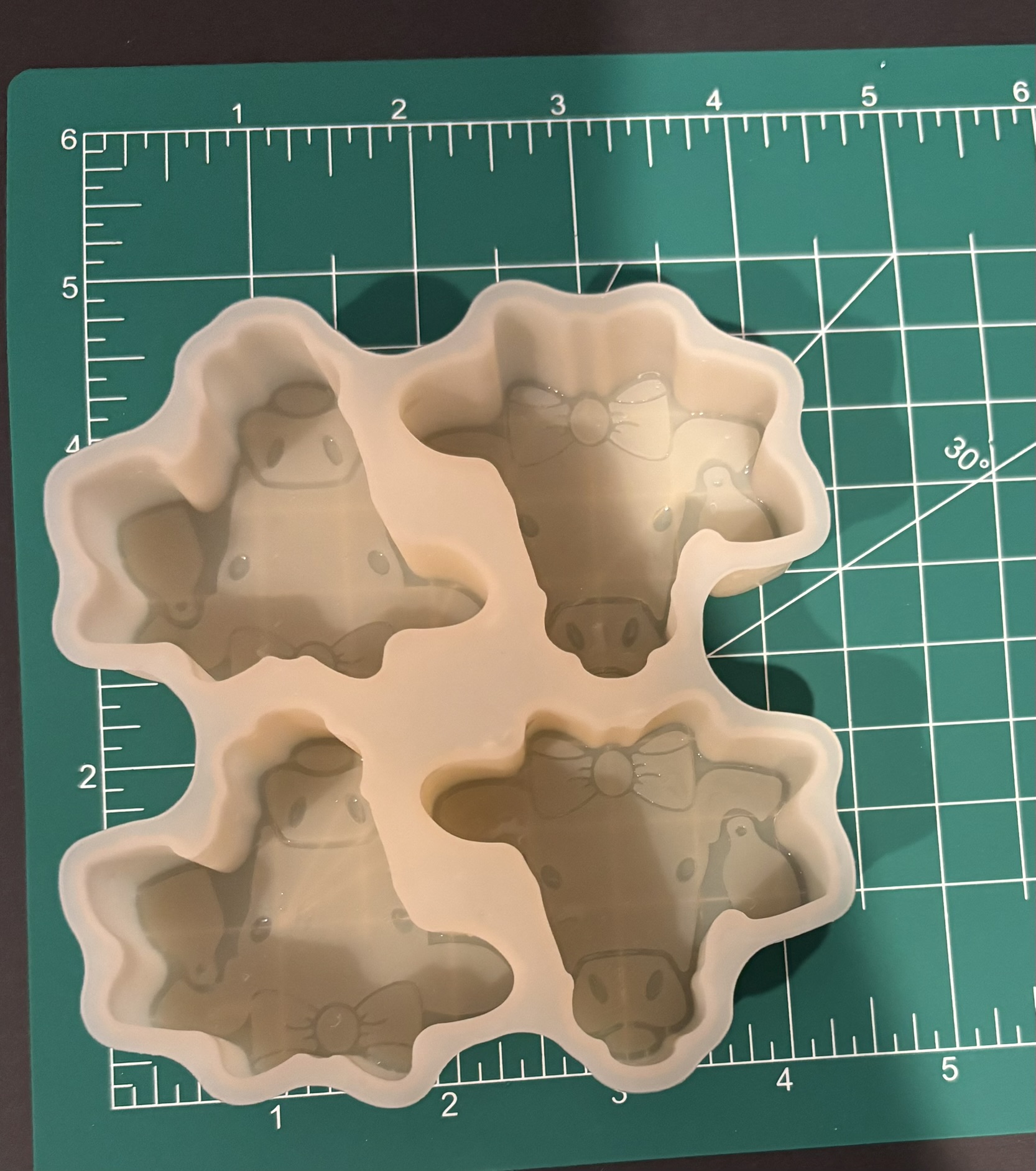 Cows with Bows - Image 4