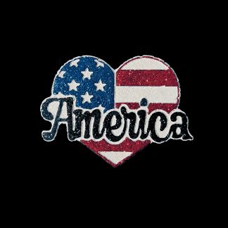 IMG_3184 American Heart