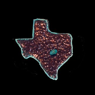 IMG_3761 Austin is my Home