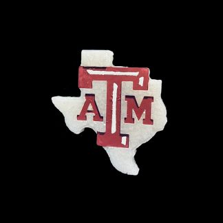 IMG_3831 A&M Texas